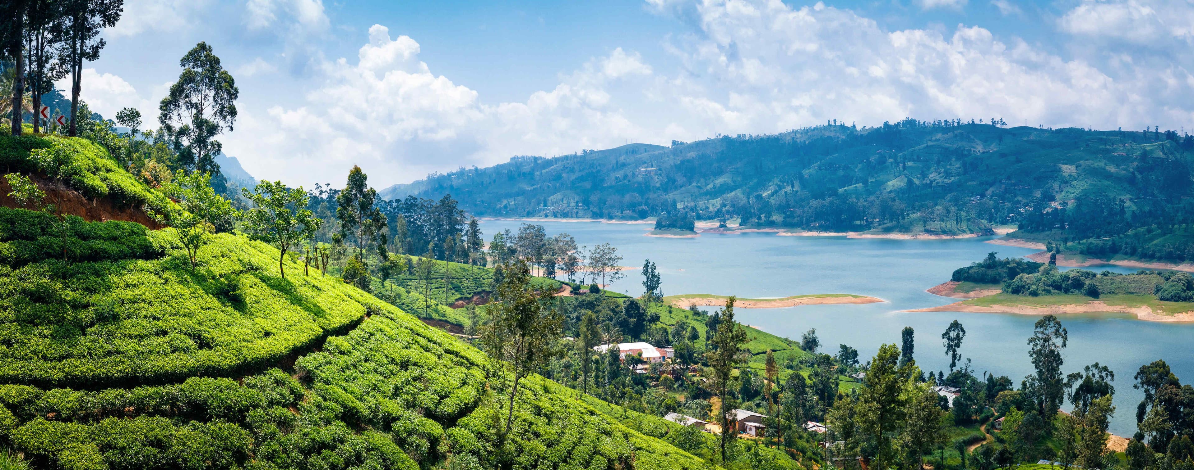 Sri Lanka’s Tea Trails & Safari Adventure
